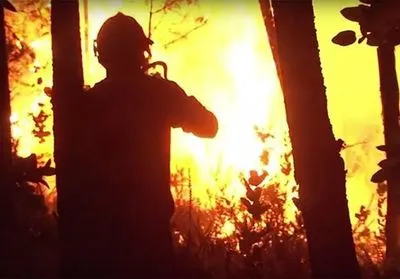 Лісові пожежі у Португалії: кількість постраждалих збільшилася до 20