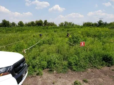 На КПВВ "Майорское" обнаружено неразорвавшиеся артиллерийские мину - МВД