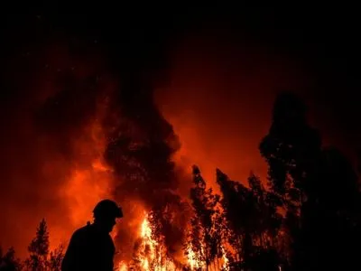 Из-за лесных пожаров в Португалии ранены девять людей