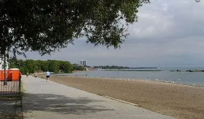 В Торонто запретили купаться на нескольких пляжах из-за кишечной палочки