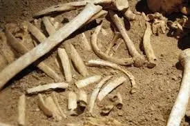 Хозяин обнаружил человеческие останки в песке привезенном из Кременчуга