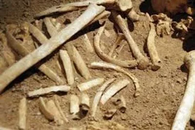 Хозяин обнаружил человеческие останки в песке привезенном из Кременчуга