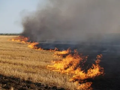На Донбассе выгорело 13 га пшеничного поля