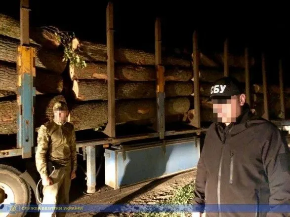 На Харківщині викрили розкрадання деревини на півмільйона гривень