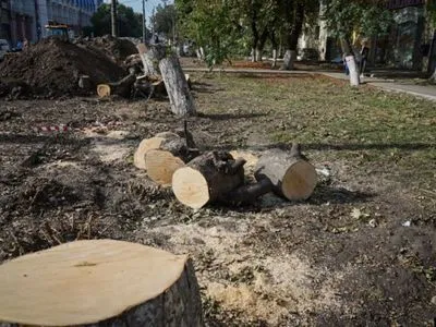 В центре Симферополя оккупационная власть хочет вырубить деревья ради расширения дороги