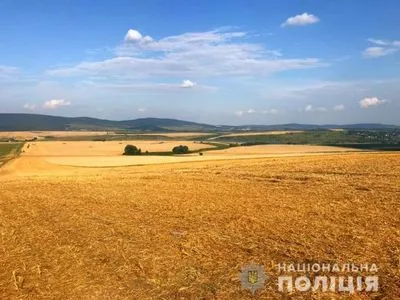Полиция проверяет информацию о незаконном сборе урожая в Ровенской области