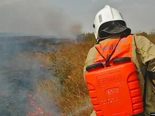 Лісові пожежі в РФ не гасять через економію коштів