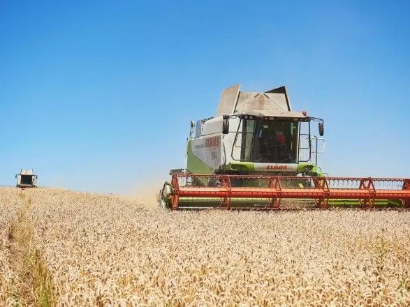 В Україні зібрано зерна з понад 8 млн га площі