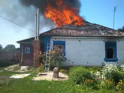 В Киевской области в пожаре погибли двое маленьких детей