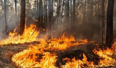 У двох регіонах Сибіру через лісові пожежі ввели надзвичайний стан