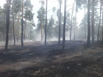 В Херсонской области загорелась хвоя на площади примерно 1,2 гектара