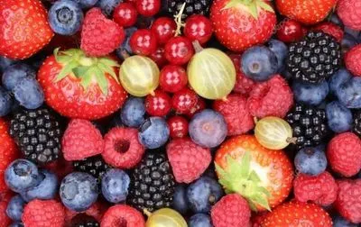 Украина увеличила экспорт плодов и ягод