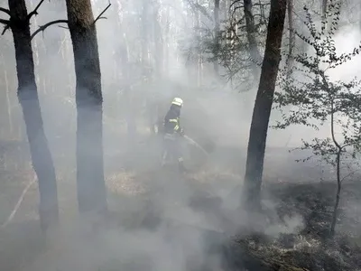 На Дніпропетровщині оголошено про надзвичайну пожежну небезпеку: протягом доби ліквідовано 16 пожеж в екосистемах