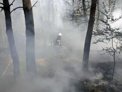 На Дніпропетровщині оголошено про надзвичайну пожежну небезпеку: протягом доби ліквідовано 16 пожеж в екосистемах