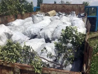 Шестеро злочинців у Маріуполі вкрали із вантажних поїздів вугілля на мільйон
