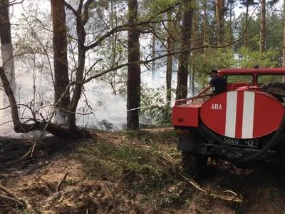 В Україні з початку року сталося щонайменше 596 лісових пожеж