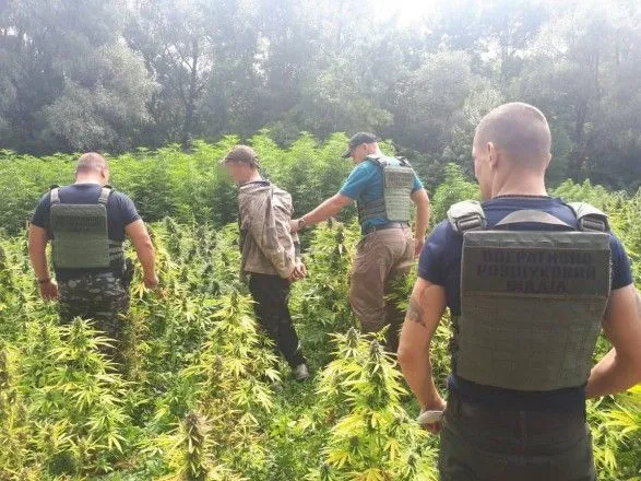 Викрито контрабанду наркотиків до РФ та Криму