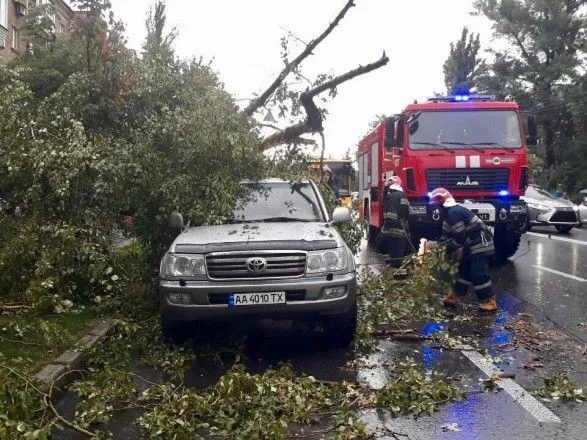Негода у Києві: дерева падали на автомобілі та трамвайні колії