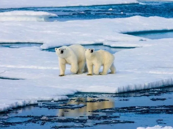На водах Аляски из-за потепления исчез лед