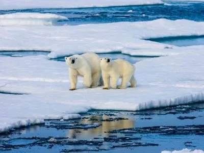 На водах Аляски через потепління зник лід