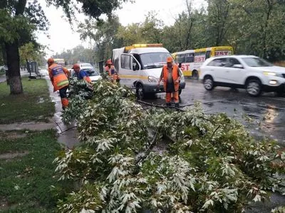 Мощный ливень повалил деревья и подтопил улицы в Киеве