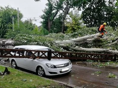 У Миколаївській області негода повалила дерева і позривала дахи