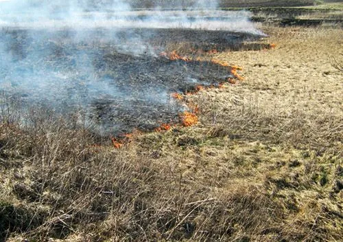 В Полтавской области ликвидировали возгорание сухой травы на площади 30 га