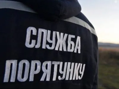 В Киеве мужчина застрял в болоте