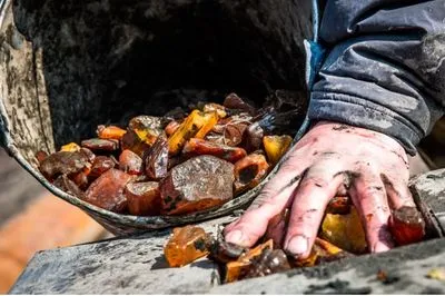 Легализация добычи янтаря обойдется Украине в 20-30 млн грн - Госгеонедра
