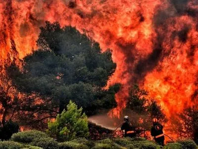 За два недели в Украине произошло почти 60 лесных пожаров