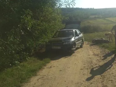 В ДТП в Одесской области пострадали мать с дочерью