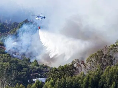 Площадь лесного пожара на Канарах достигла 10 тыс. га