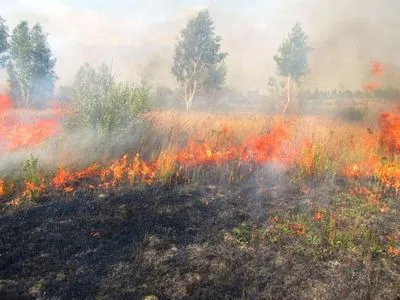 Чрезвычайная пожарная опасность сохранится в Украине