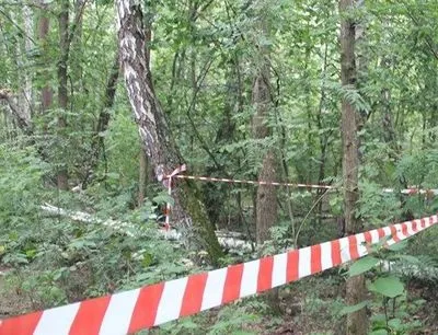 На Прикарпатті у лісі знайшли труп
