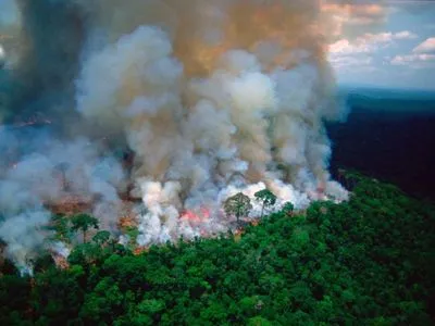 ЕС готов предложить финансовую помощь для тушения лесов Амазонии