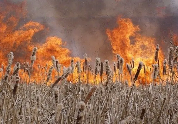 В Украине удержится чрезвычайная пожарная опасность