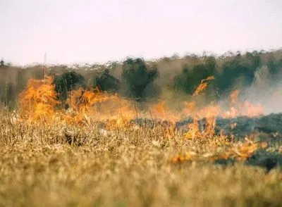 В Украине до начала сентября чрезвычайная пожарная опасность
