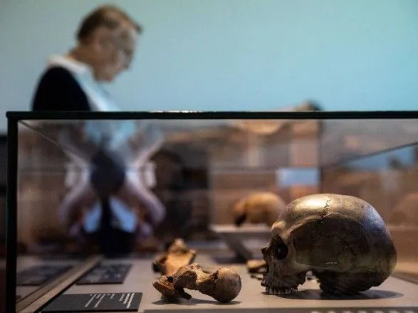 Ученые нашли в Эфиопии череп древнейшего вида австралопитека