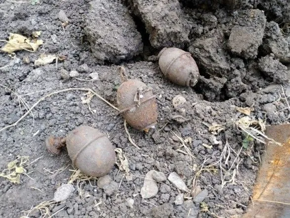 В Днепропетровской области мужчина нашел у себя во дворе гранаты времен Второй мировой войны