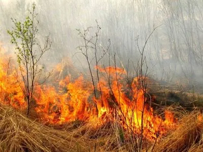 Украинцев предупредили о чрезвычайной пожарной опасности