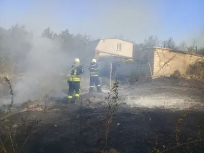 Масштабна природна пожежа під Миколаєвом перекинулася на присадибні ділянки