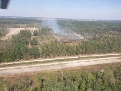 ГСЧС: пожар вблизи арсенала в Калиновке ликвидировали