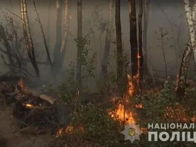 Поліція знайшла підозрювану у підпалі Чорнобильської зони – все через помсту