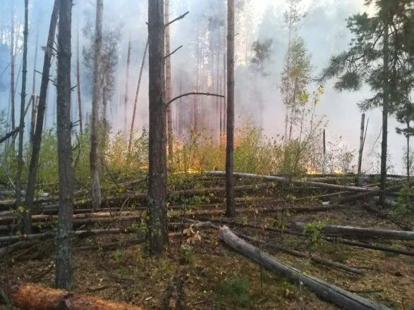 Пожар в Чернобыльской зоне уже второй день тушат с помощью авиации