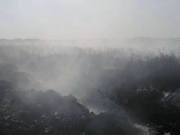 Пожежу на сміттєзвалищі неподалік від Києва загасили на четвертий день