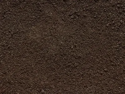 Качество почвы ухудшается из-за влияния загрязнения на дождевых червей - исследование