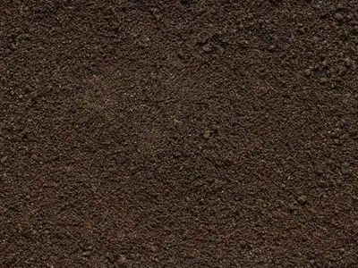Качество почвы ухудшается из-за влияния загрязнения на дождевых червей - исследование