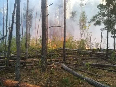 У Чорнобильській зоні третій день намагаються загасити пожежу