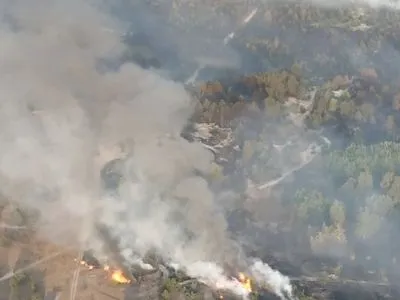 Пожар произошел в лесу на военном полигоне в Черниговской области
