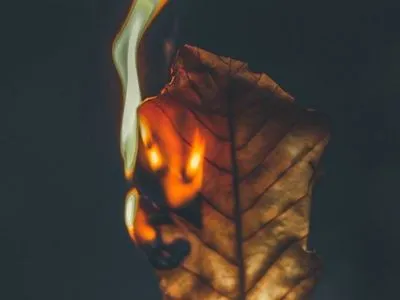 Сжигание листьев и сухой травы: медик рассказал, как уберечься от токсичного дыма